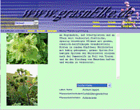 Dieses Herbarium wird mit dem Offline-Programm zusammengestellt und  per Klick ins Internet gestellt